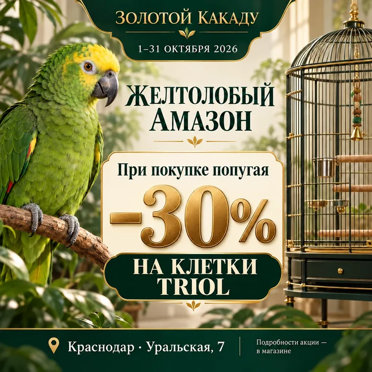 Акция: при покупке попугая −30% на клетки Triol, 1–31 октября 2026