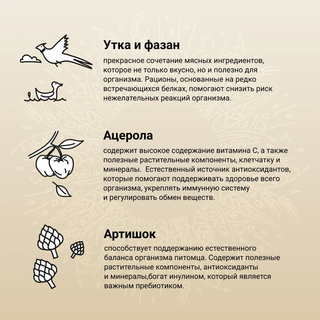 Сухой корм CRAFTIA NATURA для взрослых собак средних и крупных пород из утки с фазаном 640 г  фото 4