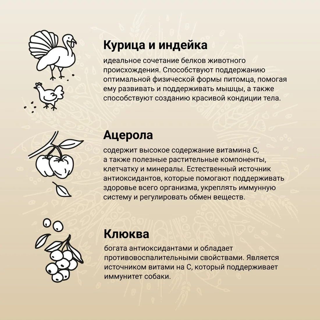 Сухой корм CRAFTIA NATURA для взрослых собак средних и крупных пород из курицы и индейки 2кг  фото 4