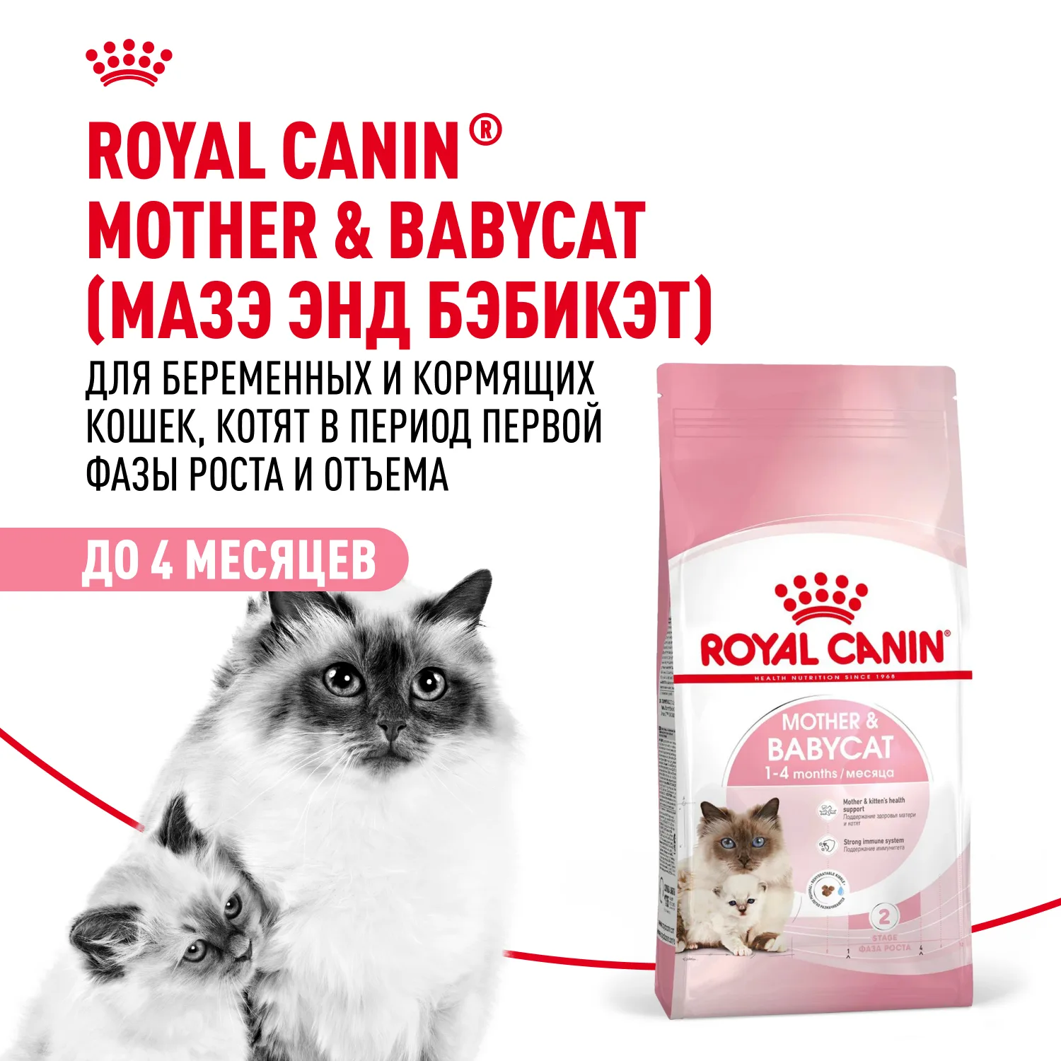 Royal Canin Бэби Кэт корм для котят и кормящих кошек 0,4 кг фото 2