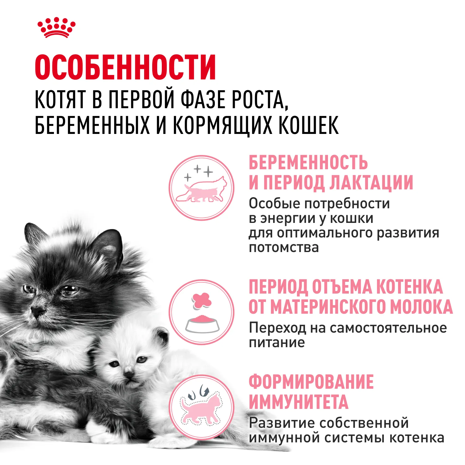 Royal Canin Бэби Кэт корм для котят и кормящих кошек 0,4 кг фото 3