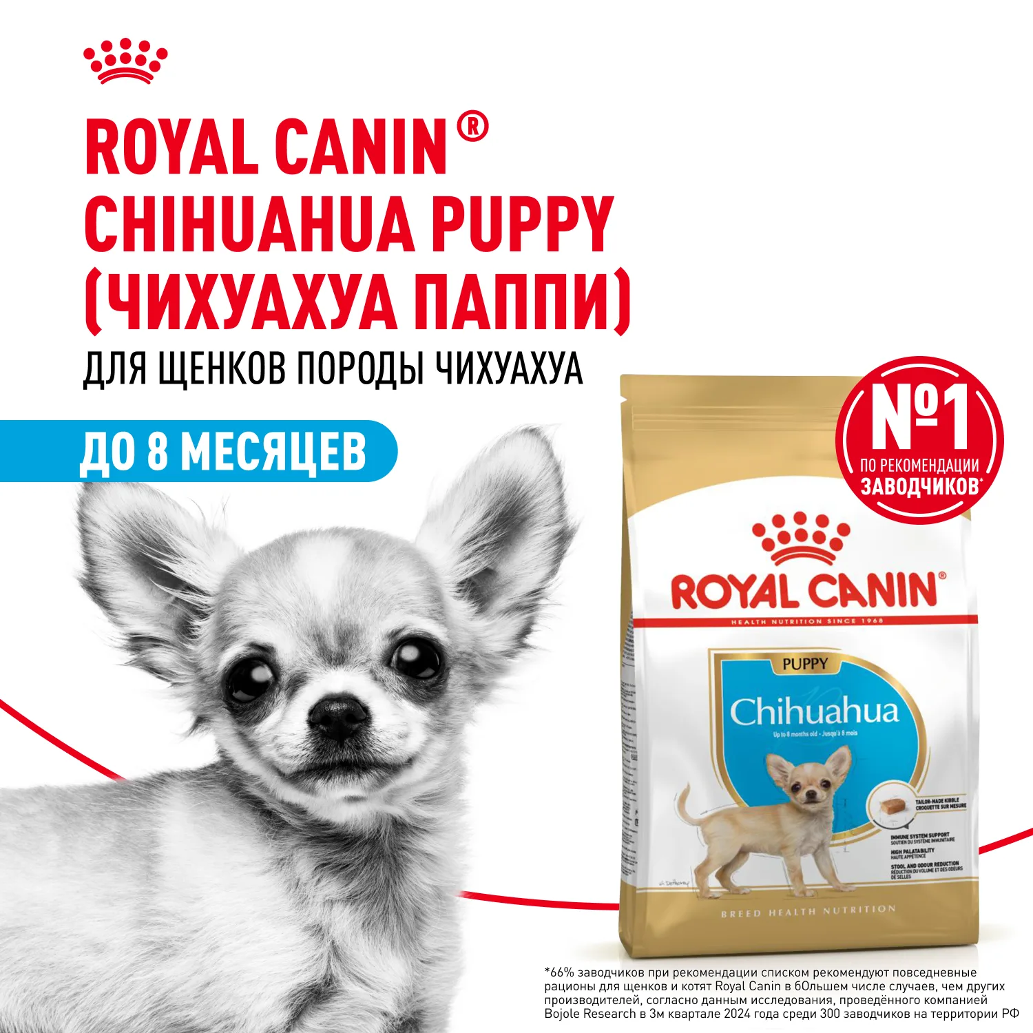 Royal Canin Чихуахуа Паппи 0,5 кг фото 2