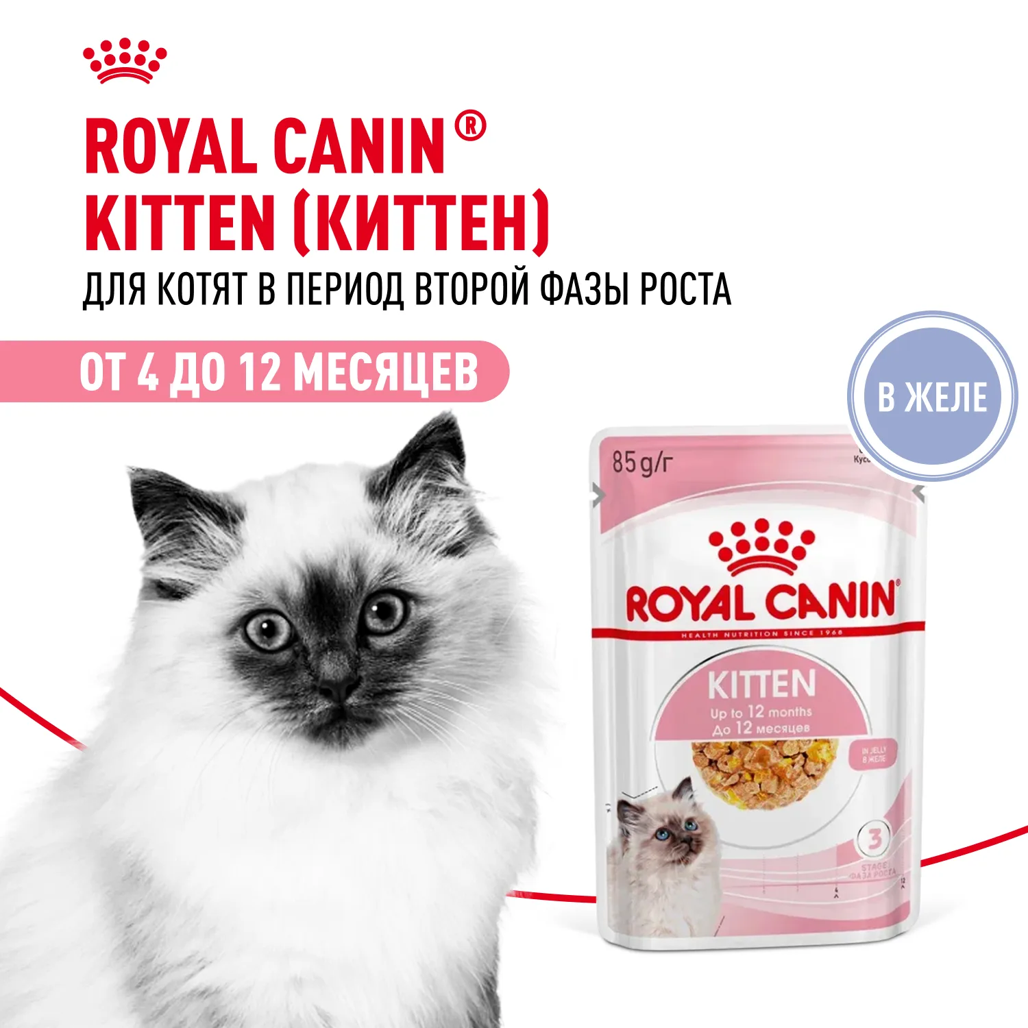 Royal Canin Киттен /кусоч в желе/85 гр фото 2