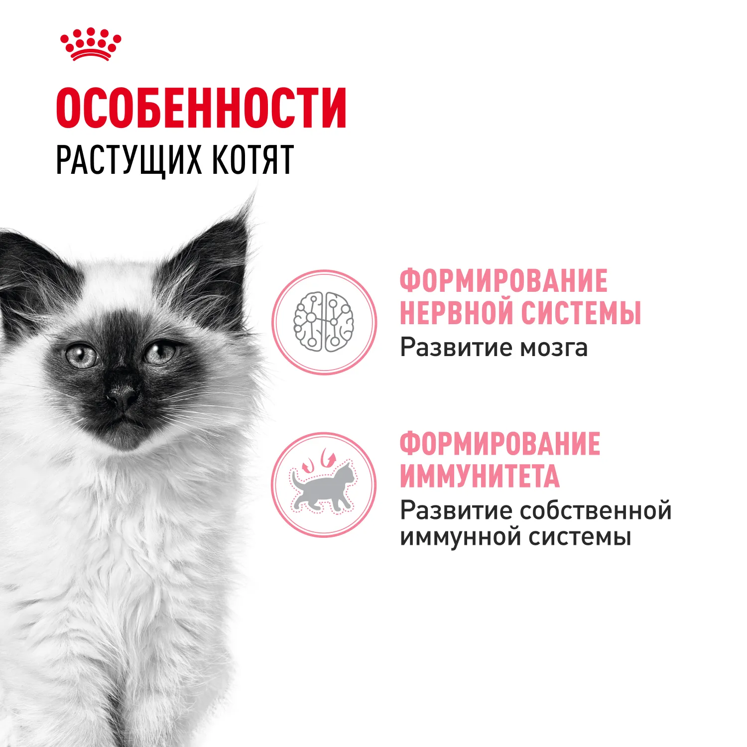 Royal Canin Киттен /кусоч в желе/85 гр фото 3