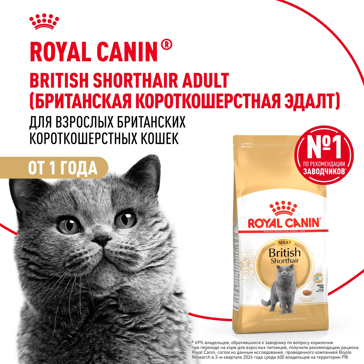 Royal Canin Британская короткошерстная 2 кг фото 2