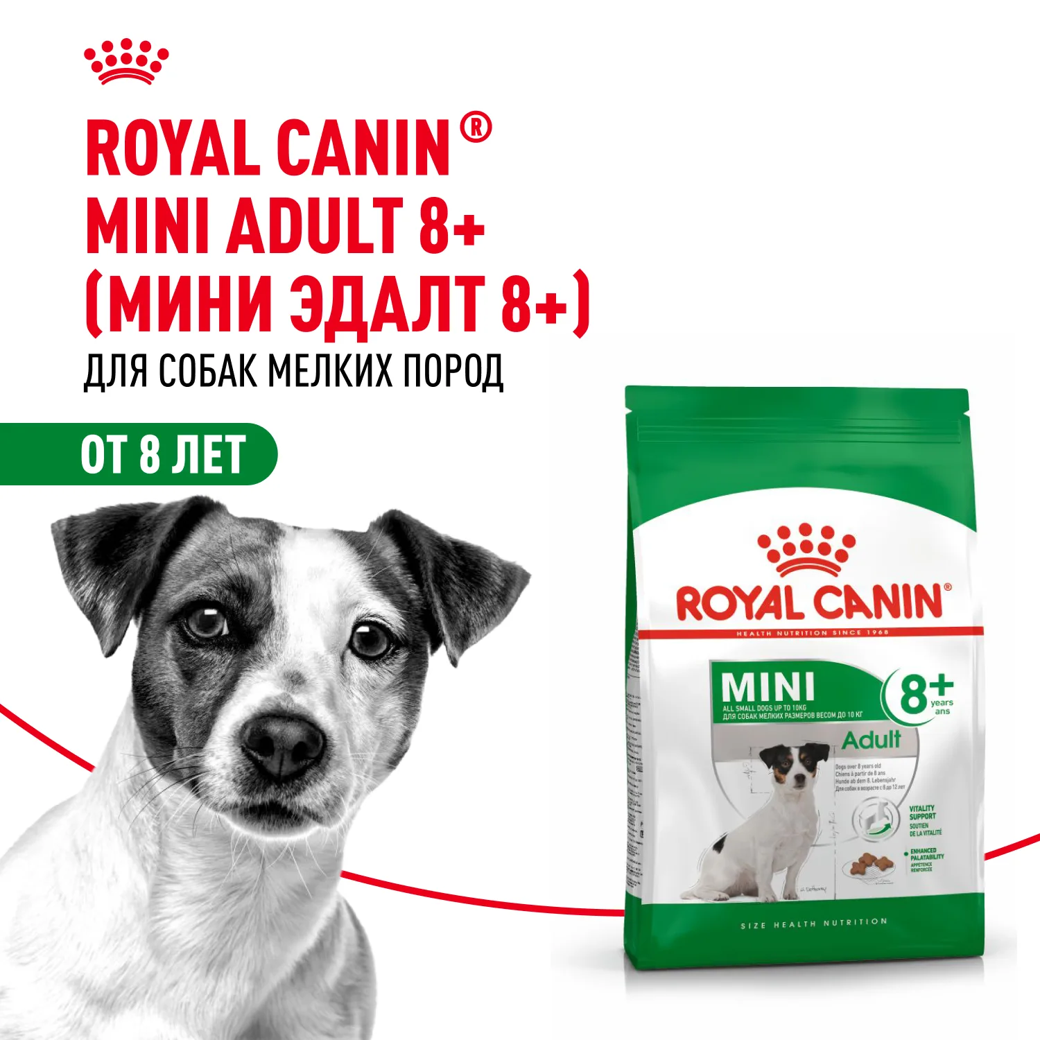 Royal Canin для собак Мини Эдалт 8+, 2кг фото 2