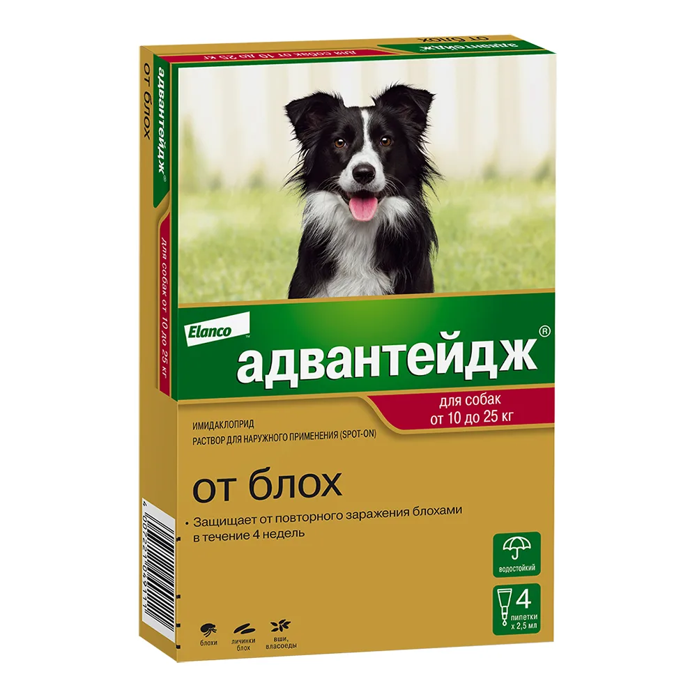 Адвантейдж для собак для собак 10-25 кг, 1 пип