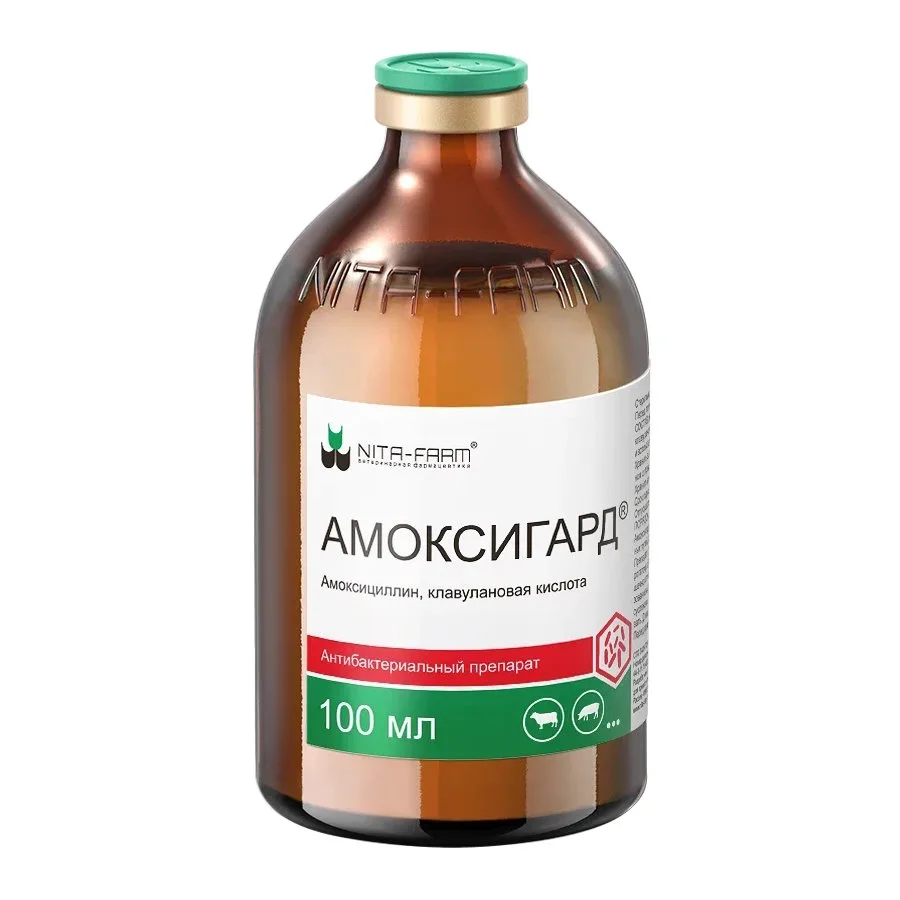 Амоксигард, 100 мл