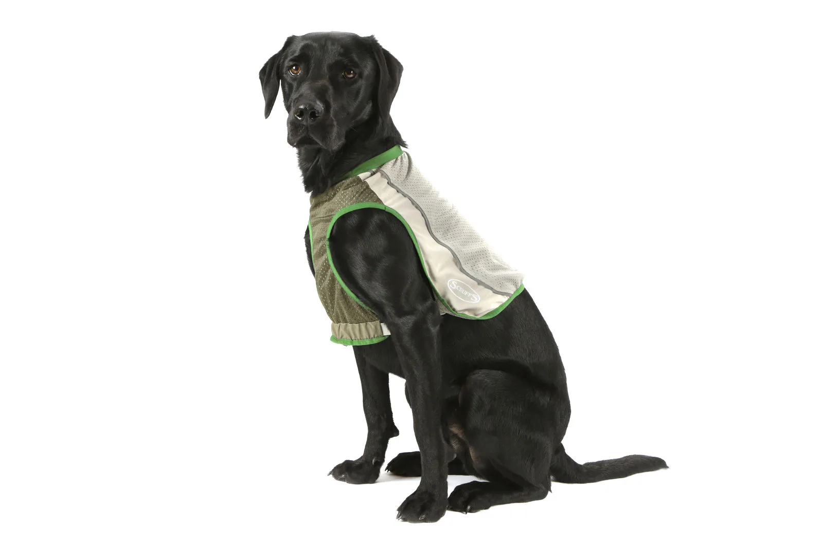 Жилетка защитная для собак с пропиткой от насекомых Scruffs Insect Shield Dog Vest M