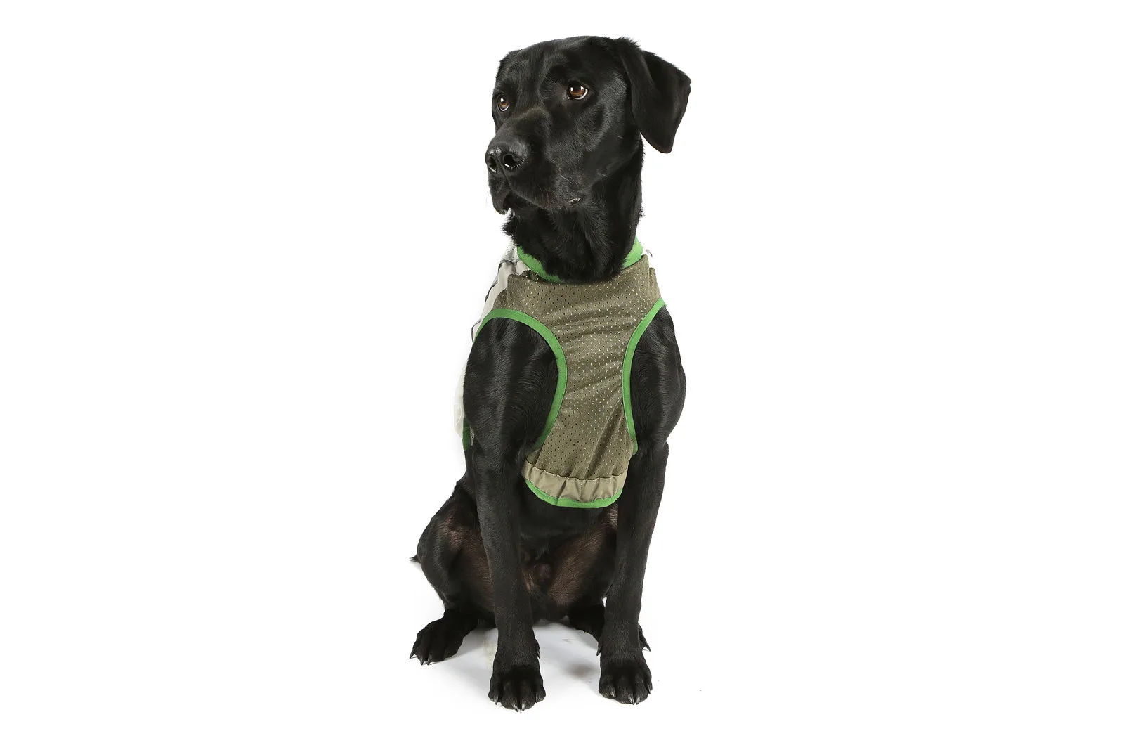 Жилетка защитная для собак с пропиткой от насекомых Scruffs Insect Shield Dog Vest M фото 3