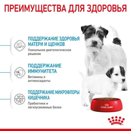 Royal Canin Мини Стартер д/щ мелких пород  1кг, шт фото 4