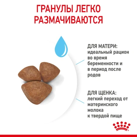 Royal Canin Мини Стартер д/щ мелких пород  1кг, шт фото 5