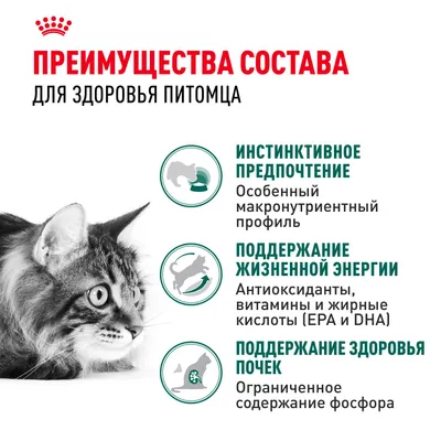 Инстинктив+7 0,085 кг соус фото 3