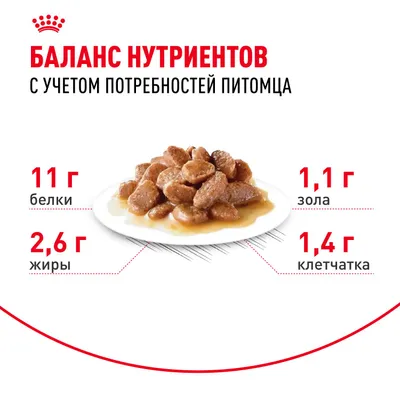Инстинктив+7 0,085 кг соус фото 4