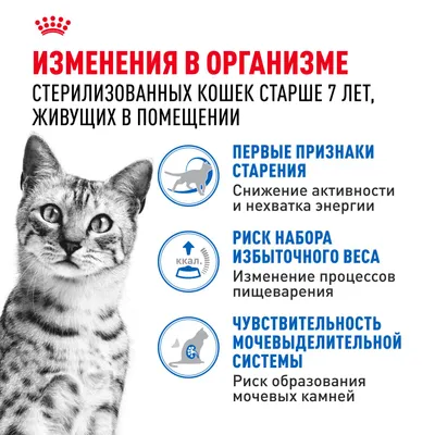 Индор стерилайзд7+ соус 28*85г фото 2