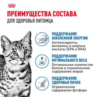 Индор стерилайзд7+ соус 28*85г фото 3