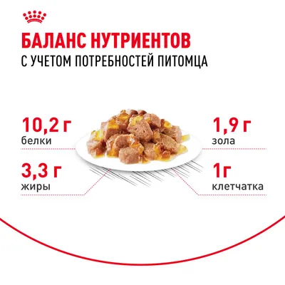 Индор стерилайзд7+ соус 28*85г фото 4