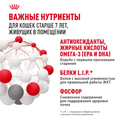 Индор стерилайзд7+ соус 28*85г фото 5
