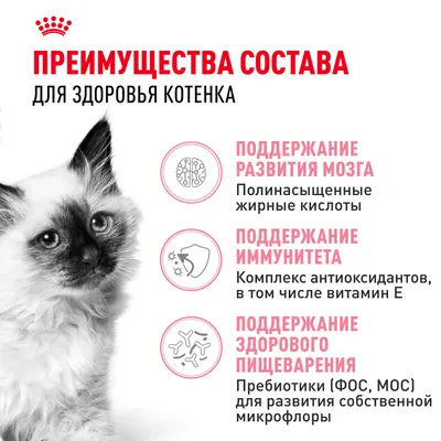 Royal Canin Киттен для котят 4-12 мес.1,2кг фото 3