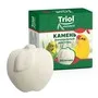 Triol Standard Камень минеральный для птиц Яблочко, 30г, шт фото 3